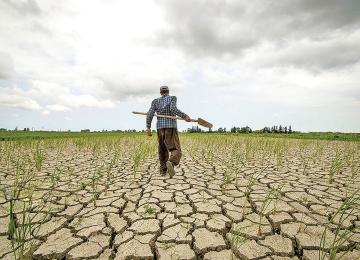A Challenging Year for Iran’s Agriculture