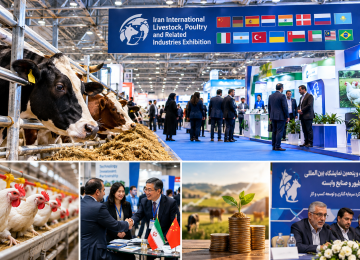 Iran Livestock Expo Puts Financing and Investment in Focus