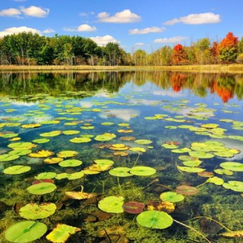 Iran’s Tourism Rebound Tied to Nature Restoration