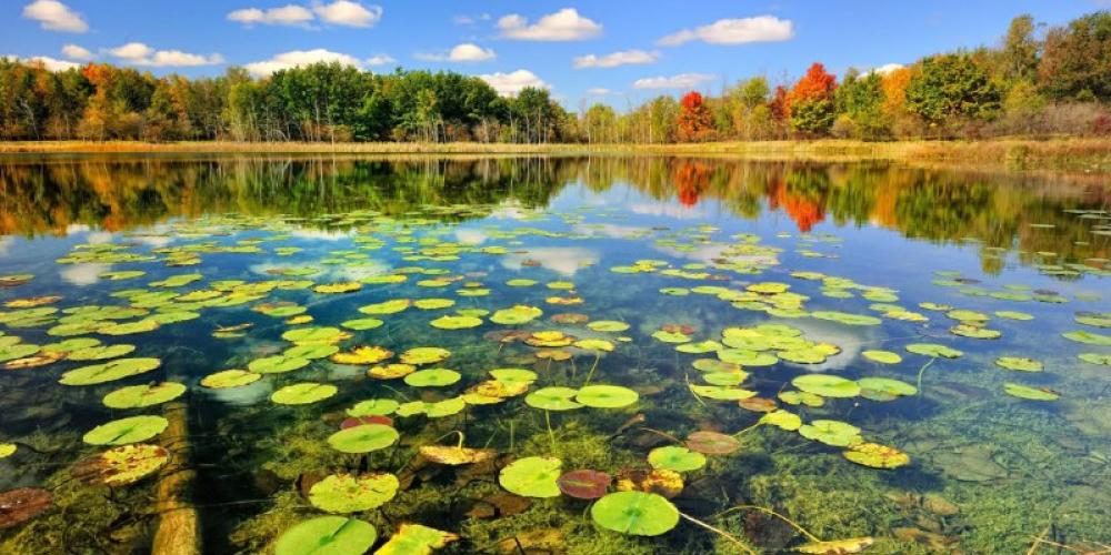 Iran’s Tourism Rebound Tied to Nature Restoration